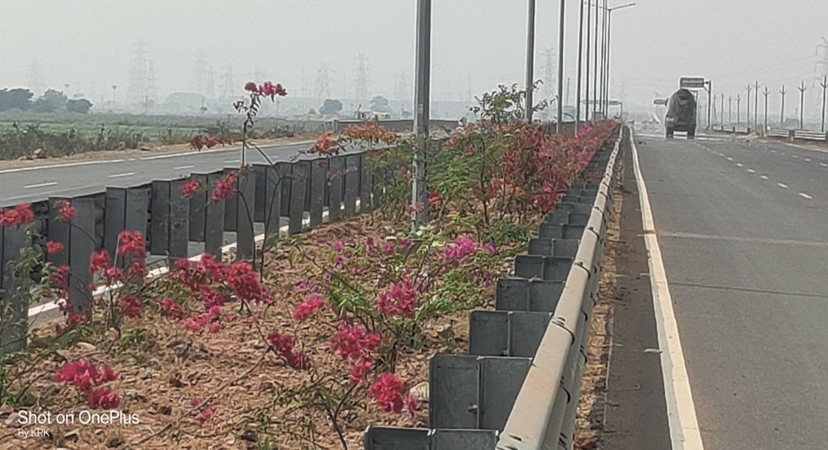Power Project
